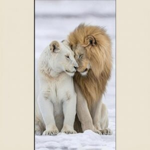 3D 2 LION